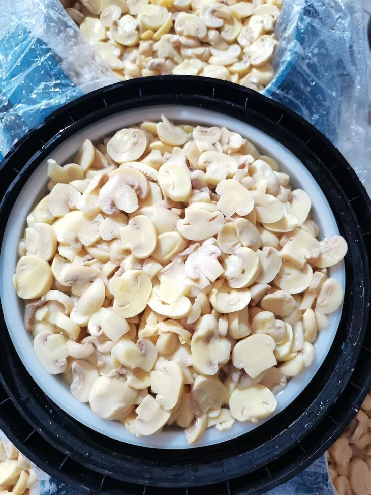 Fresh WHOLE Mushroom in SO2 in Plastic Drum