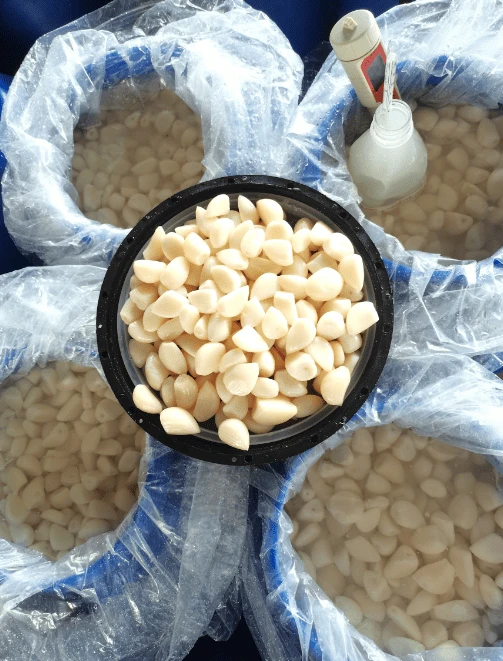 product-503-661