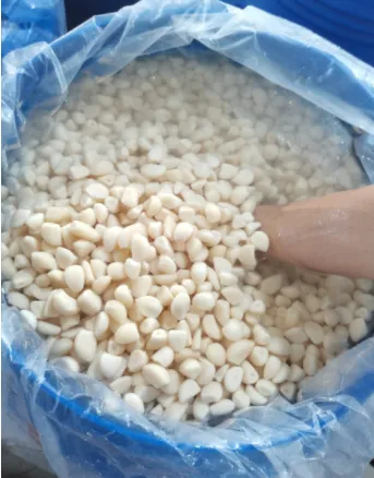 product-343-438 product-343-438
