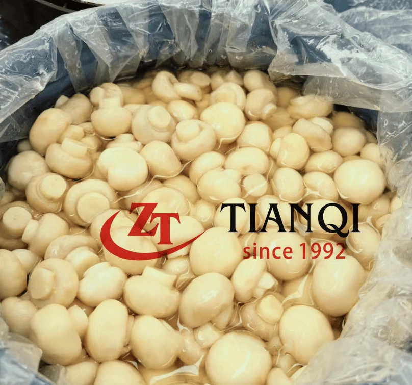product-808-755