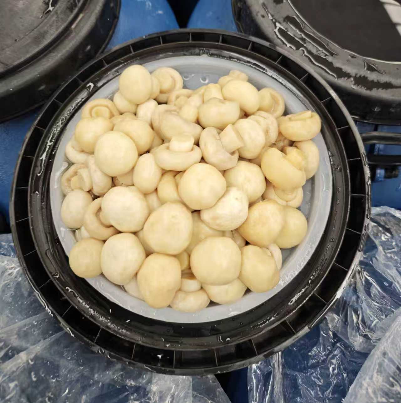 product-1280-1284