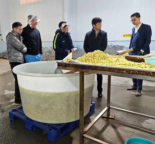 product-2848-2654 product-2848-2654