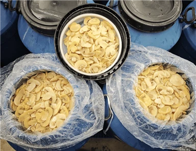 47 kg Mushroom in Brine