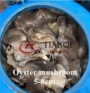 5-8CM Oyster Mushroom in Brine in Drums
