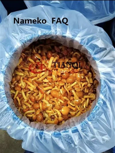 Nameko in Brine in Drums FAQ