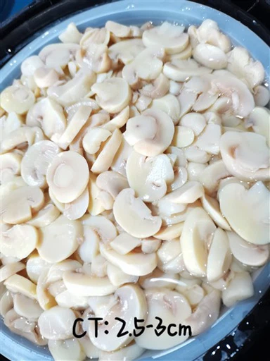 New Crop Mushroom in Vinegar in Drums