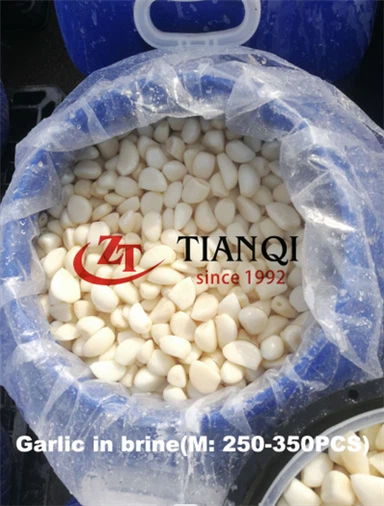 Peeled Pickled Garlic Cloves in Brine in drums